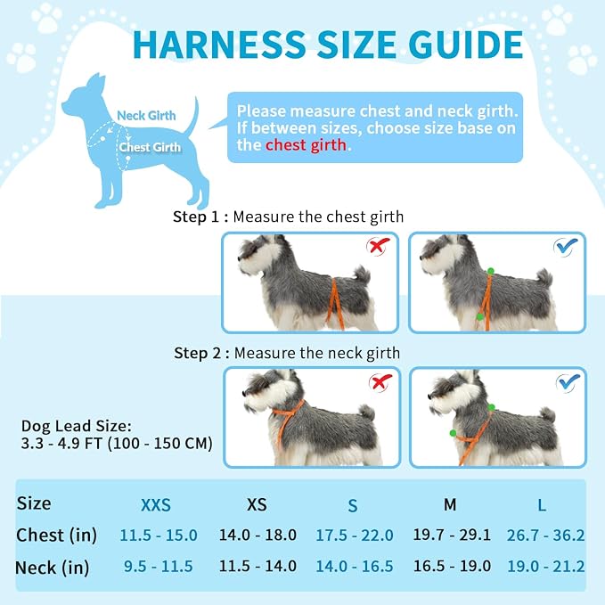 Lukovee No Pull Dog Harness and Leash Set, Soft Padded Small Dog Harness, Neck & Chest Adjustable Reflective Vest Puppy Harness with 4ft Lightweight Anti-Twist Dog Leash for Small Dogs (XXS, Fuschia)