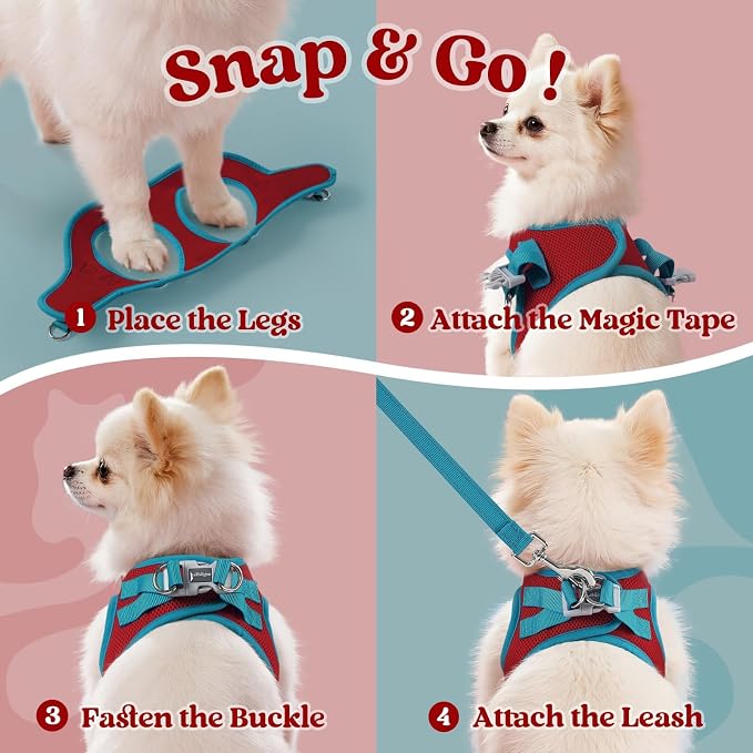 rabbitgoo Dog Harness Small Sized and Leash Set, Step-in Breathable Pet Harness, Soft Walking Reflective Puppy Vest for Small Dogs, Red & Teal, XXS