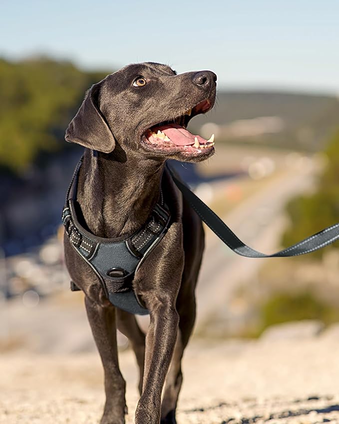 Joytale No Pull Dog Harness for Large Dogs, Reflective Pet Vest with Front Clip, Adjustable Soft Padded Harnesses with Easy Control Handle for Training and Walking, Gray, L