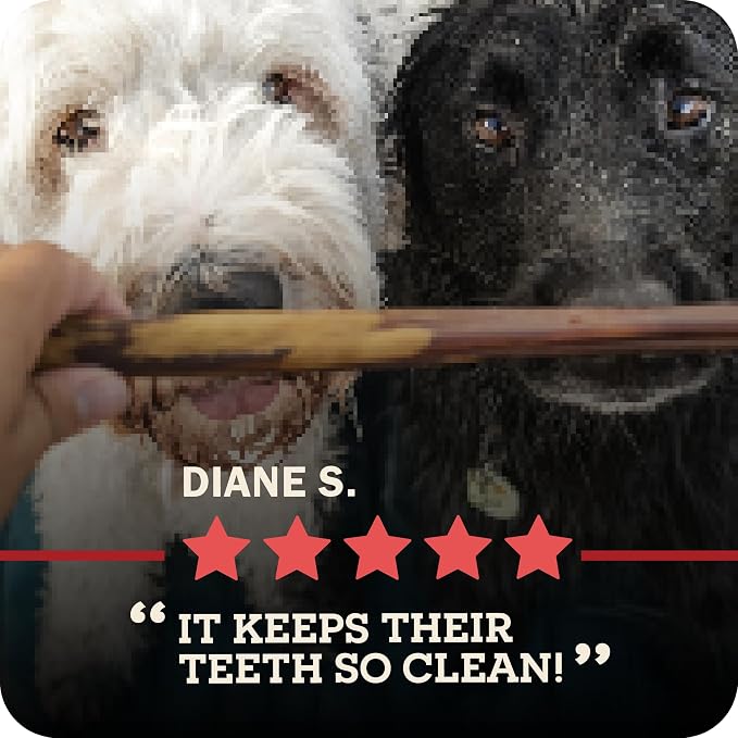Redbarn Pet Products All-Natural 12" Large Bully Sticks for Dogs - Premium Grain-Free & Rawhide-Free Single Ingredient Long Lasting Low Odor Dental Treat for Chewers - 2 Count