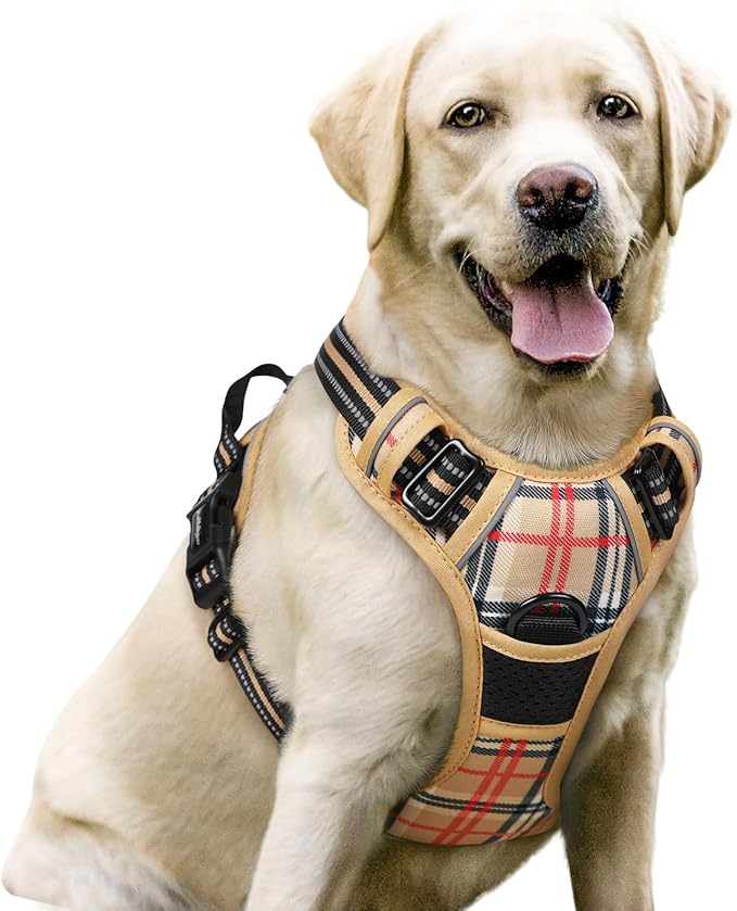 rabbitgoo Dog Harness No Pull with 2 Leash Clips, Adjustable Soft Padded, Reflective Oxford No Choke Pet Vest with Easy Control Handle for Large Dogs, Beige Plaid, L