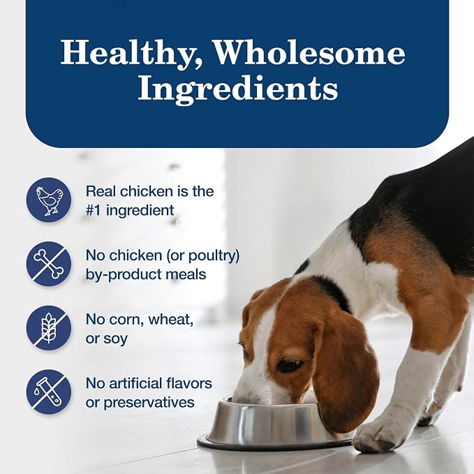 Blue Buffalo Homestyle Recipe Chicken Dinner with Garden Vegetables Natural Wet Dog Food for Adult Dogs, Paté with Natural Ingredients, Vitamins & Minerals, 12.5-oz. Can (12 Count)