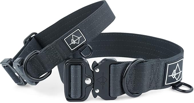 Made to ROAM Premium Dog Collar - Adjustable Heavy Duty Nylon Collar with Quick-Release Metal Buckle (New York Afterlight, Classic Size 4)