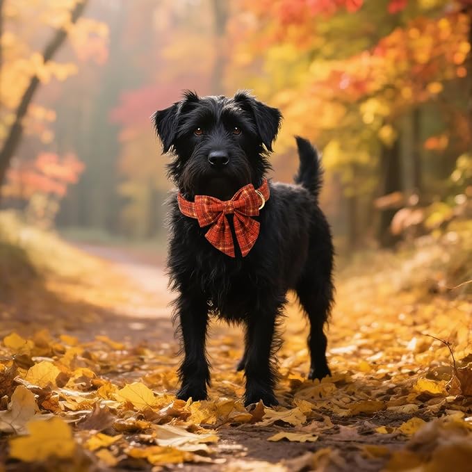 Unique style paws Cartoon Dog Collar with Bowtie Autumn Halloween Plaid Puppy Collar with Orange Brown Grid for Small Medium Large Boys Girls Dogs