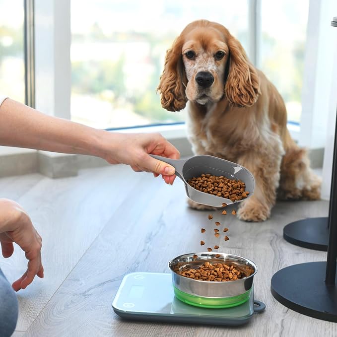 DEAYOU 12 Pack Dog Food Scoop, 1 Cup Plastic Pet Food Scoop with Measuring Lines, Multi Purpose Kitchen Scoop Measure Cups for Puppy, Flour, Ice Cube, Accurate Portion Control, 4 Colors