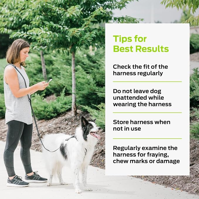 Premier Pet No Pull Comfort Harness - Reduces Pulling for Better Walks - Adjustable Fit with 4 Points - Soft Padded Design for Comfort - Reflective Stitching for Safety - Easy to Use Everyday - Medium