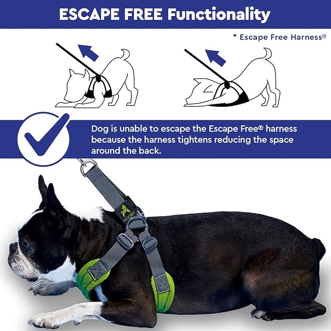 Gooby Escape Free Memory Foam Harness - Purple, Large - No Pull Step-in Small Dog Harness with Four Point Adjustment - Perfect on The Go Dog Harness for Medium Dogs No Pull and Small Dogs