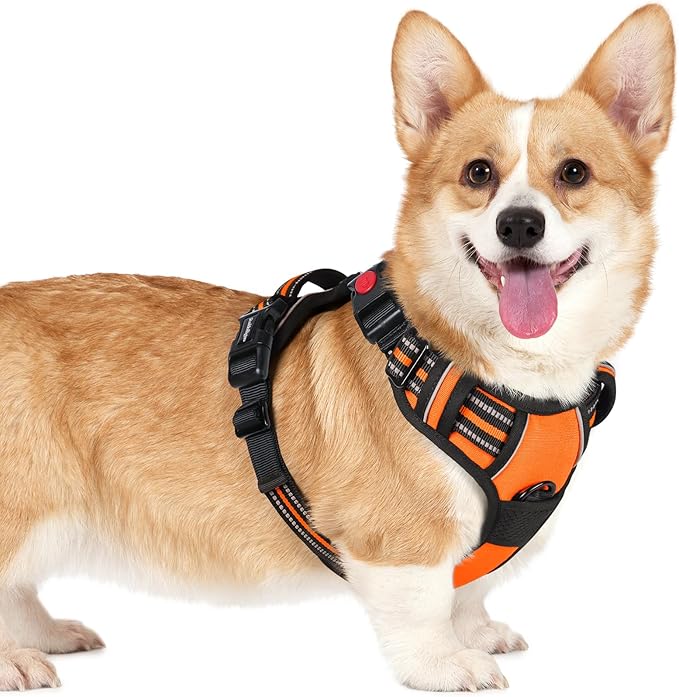 rabbitgoo Dog Harness Small Sized, No Pull Easy On & Off with 3 Buckles Pet Harness, Adjustable Soft Walking Vest with 2 Clips and Handle, Reflective for Small Dogs, Orange, S
