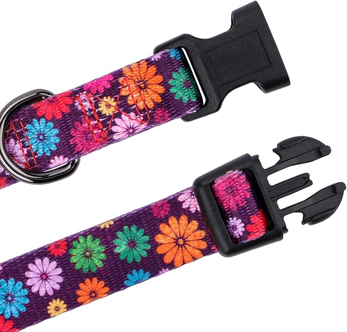 Girl Dog Collars Fall Daisy Pattern, Colorful Flowers Print, Female Collar, Dark Purple, Medium