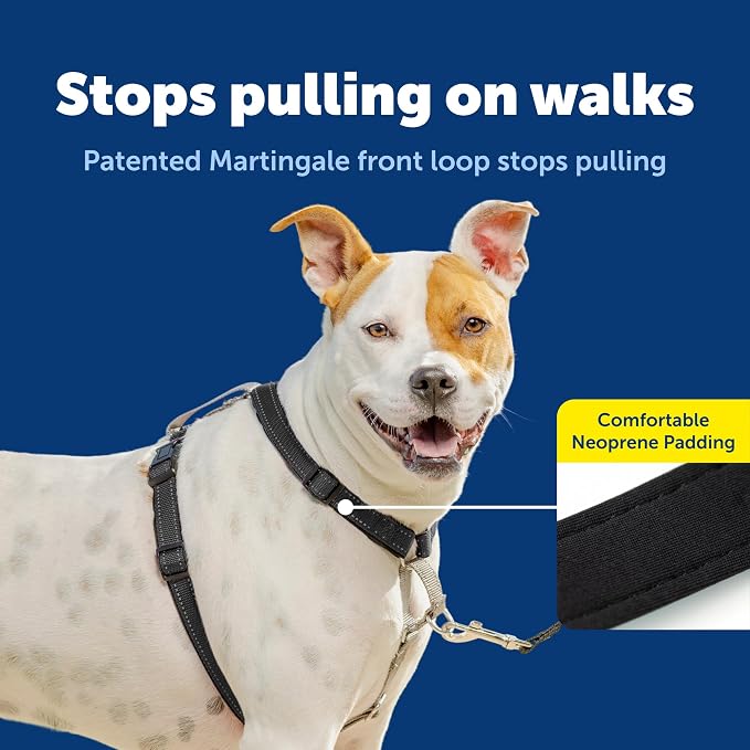 PetSafe 3 in 1 No-Pull Dog Harness for Medium Dogs - Walk, Train or Travel - Helps Pets from Pulling on Walks - Seatbelt Loop Doubles as Quick Access Handle - Reflective- Medium, Black