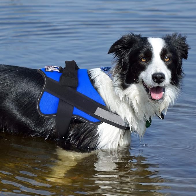 Dog Harness, No-Pull Reflective Dog Vest, Breathable Adjustable Pet Harness with Handle for Outdoor Walking - No More Pulling, Tugging or Choking (Blue, M)