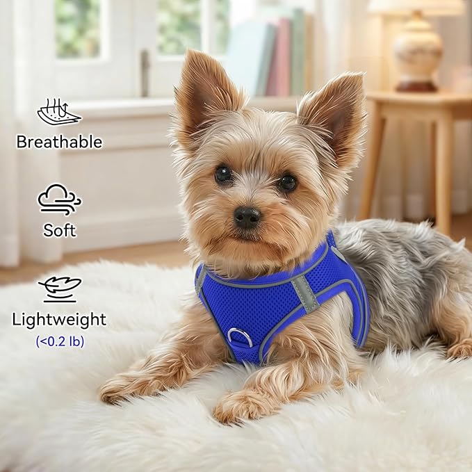 Joytale Small Dog Harness, Breathable Mesh Step-in Vest, Reflective Soft Padded Harnesses for Cats, Puppies and Extra Small Dogs, Navy Blue, XXS