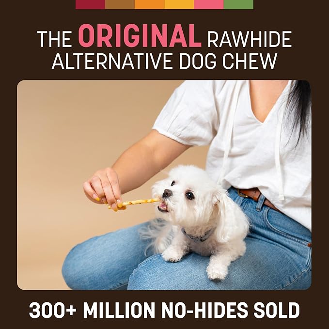 Earth Animal No Hide Stix - Long Lasting Rawhide Free Small Dog Chews Sticks, Salmon - 10 Count