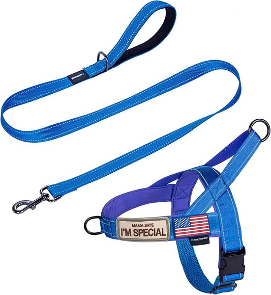 Annchwool No Pull Dog Harness with Padded Handle+5 Ft Leash,Reflective Strip Escape Proof and Quick Fit to Adjust Dog Harness,Easy for Training Walking for Small & Medium and Large Dogs(Blue-Set,M)