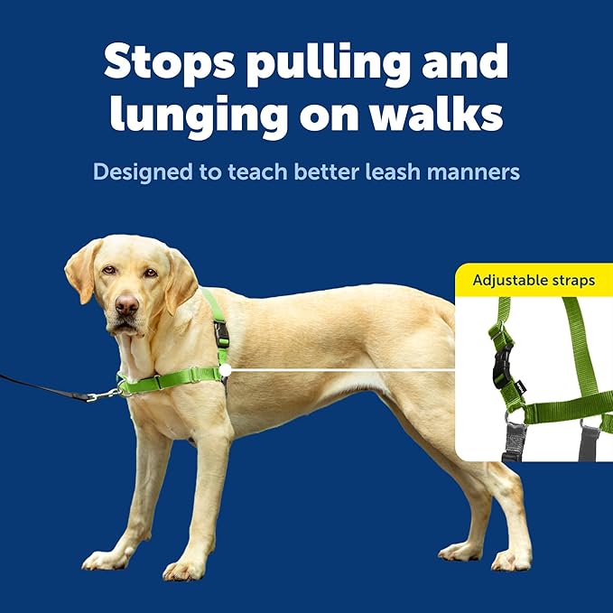 PetSafe Easy Walk No-Pull Dog Harness - Ultimate Harness to Help Stop Pulling - Pull-Free Walks - Take Control & Teach Better Leash Manners - Patented Martingale Loop Design - Apple Green, Large