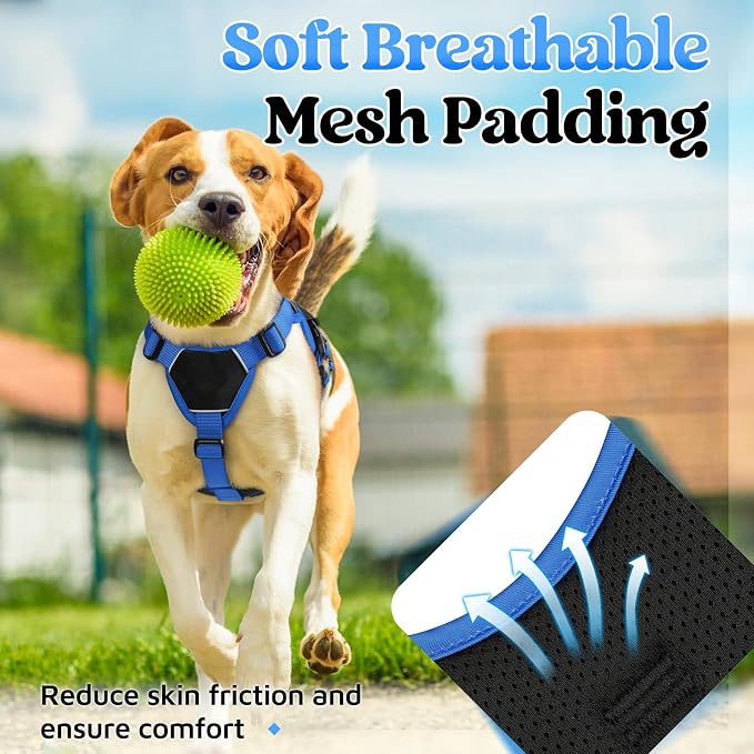 rabbitgoo Escape Proof Dog Harness Large Dogs, Soft Padded Full Body Pet Harness, Reflective Adjustable No Pull Vest with Lift Handle and Leash Clip for Walking Hiking Training, Blue & Black, S