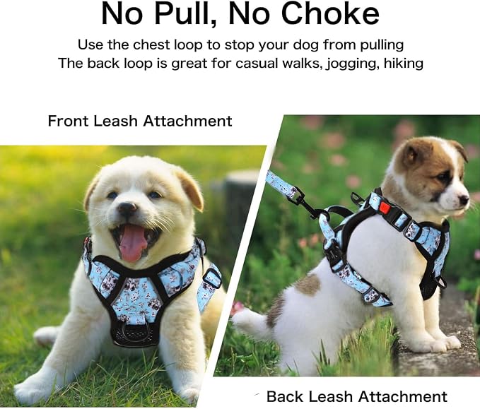 Petmolico No Pull Dog Harness Set with Leash Attachment Easy Control Handle Reflective Harness Vest Small Breed, Puppy Vest and Leash Set with Poop Bag Holder, Small - White Rose