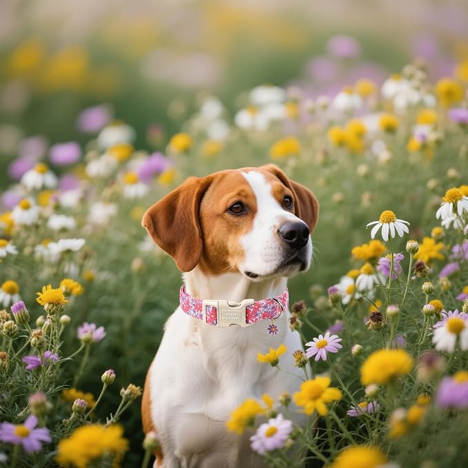 Unique style paws Dog Collar Plastic Buckle with Pendant Puppy Collar for Spring Summer Purple Flower for Small Medium Large Boys Girls Dogs