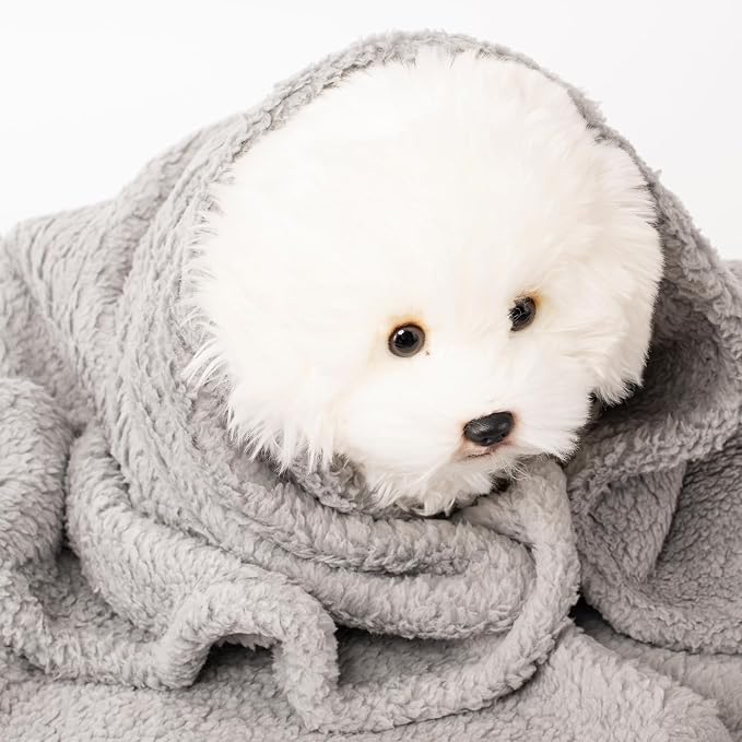 2 Blankets, Dog Cat Pet Blanket, Soft Warm Fleece, for Puppy, Small Dogs or Kitten, Cats, Plush Fuzzy Blanket for Bed, Sofa, Travel (60" x 40", 2/Pack, Beige+Light Gray)