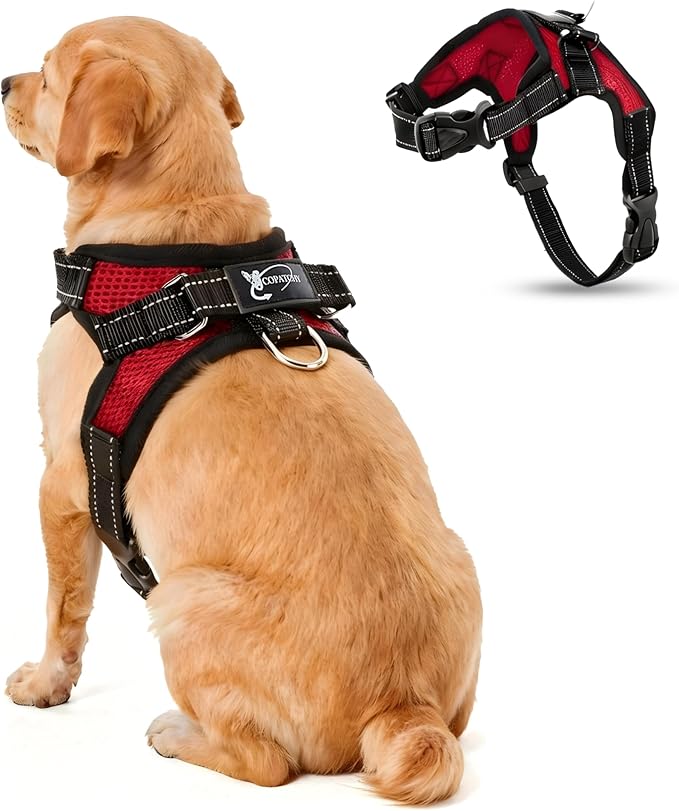 No Pull Reflective Adjustable Dog Harness with Handle- Comfortable Soft All Weather Mesh, Easy On Puppy Harness for Small Medium and Large Dogs (Red) Small