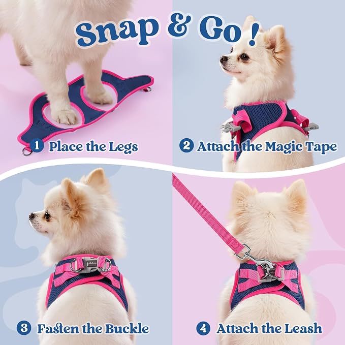 rabbitgoo Dog Harness Small Sized and Leash Set, Step-in Breathable Pet Harness, Soft Walking Reflective Puppy Vest for Small Dogs, Blue & Rose Red, XS