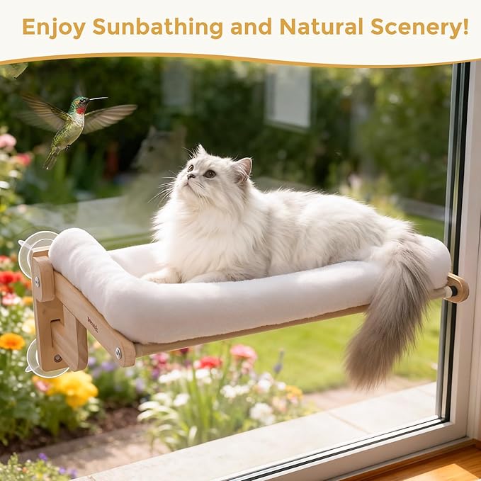 Pecute Foldable Cat Window Perch, Cloud-Soft Cat Bed with Solid Wood Frame, Strong Suction Cup, Washable Cushion, Stable Large Cats Hammock with Sided Bolster, Cats Perch Indoor for Sunbathing, 26" L