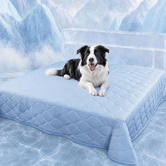 Luciphia Waterproof Cooling Mat for Dogs, Light Blue, 60x80 inches | Couch Cover, Q-MAX>0.5, Leakproof, Non-Slip, For Cat Puppy Crate Bed Protector Outdoor