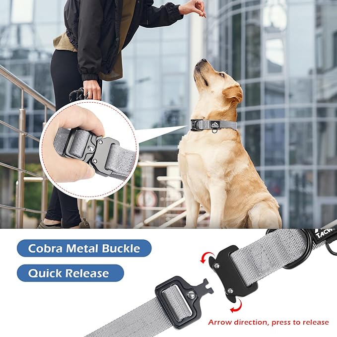 Dog Collar for Large Dogs - Adjustable, Chew Proof Nylon Collar with Metal Quick Release Buckle and D-Ring for Dog Tags (Alaska Daybreak, XS(0.5''Width, Fit 8''-11''))