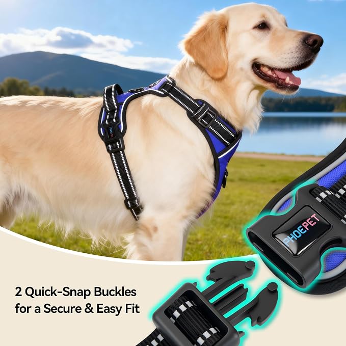 PHOEPET No Pull Dog Harnesses for Small Puppies Reflective Adjustable Front Clip Vest with 2 Metal Leash Attachment Hooks Soft Handle [Over The Head Design](L, Royal Blue)