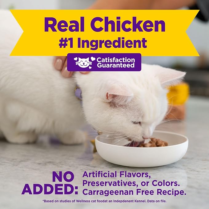 Wellness Appetizing Entrées Mousse Adult Wet Cat Food, Natural, Protein Rich, Grain Free, Chicken and Turkey Recipe, 1.4 oz, Pack of 8 Pouches
