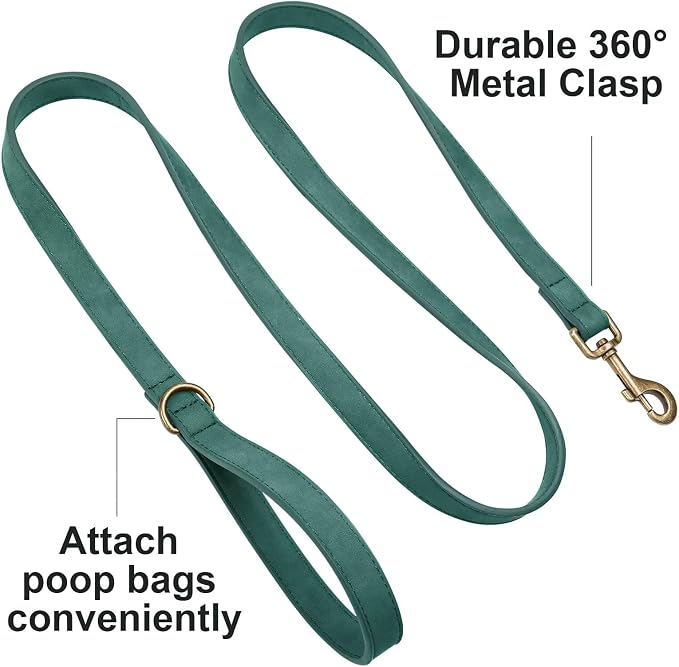 Didog Stylish PU Leather Dog Leash for Large Dogs, Easy to Clean 5ft Dog Leashes for Medium Dogs, Fashionable and Elegant for Walking, Running and Training,Green, M