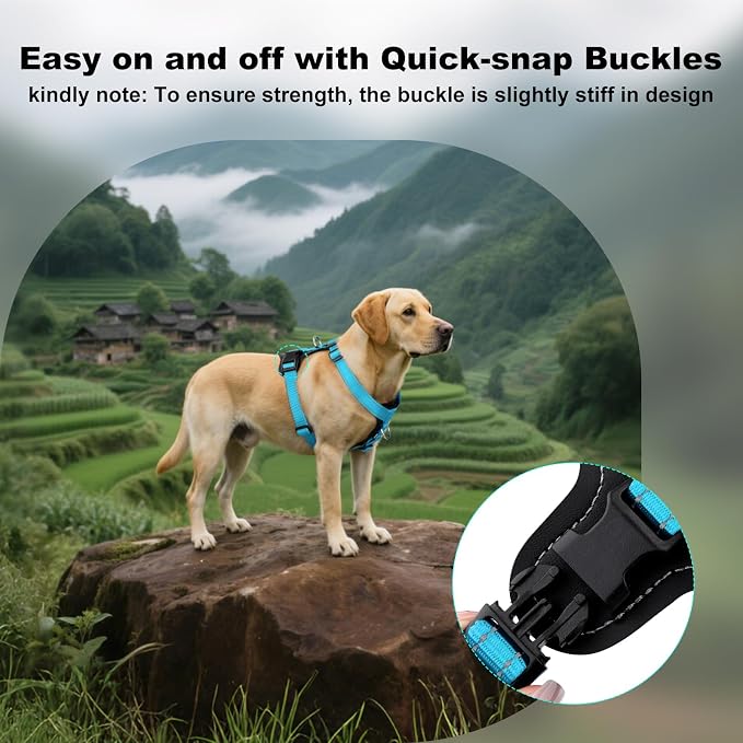 Plutus Pet Adjustable No Pull Dog Harness with Leather Accents, Heavy Duty Reflective Nylon Vest for Training, Hiking, Easy Walk Harness for Small, Medium, Large Dogs (Light Blue, L)