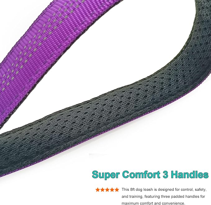 BTINESFUL 8ft Dog Leash with 3 Handles, Triple Handle, Reflective, Shork Absorbing Bungee, Control & Safety Training for Large Medium Dogs (Purple, 1 in x 8 ft)