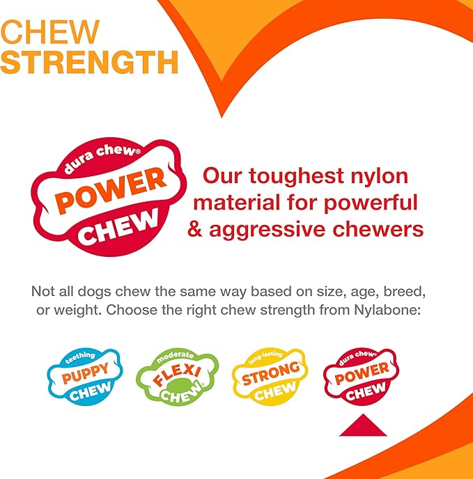 Nylabone Original Wishbone Power Chew Toy for Dogs, Dog Toys for Aggressive Chewers, Original Flavor, Medium - Up to 35 lbs, 1 Count