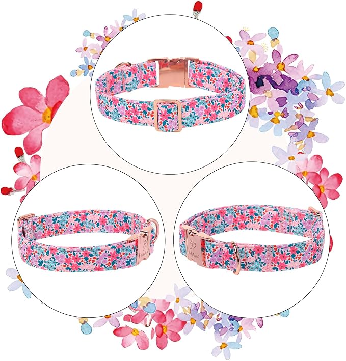 Floral Dog Collar, Cute Spring Summer Girl Dog Collars - Soft Adjustable Everyday Collars for Small Medium Large Dogs, Rustic Wildflowers Female Dogs Collar XS