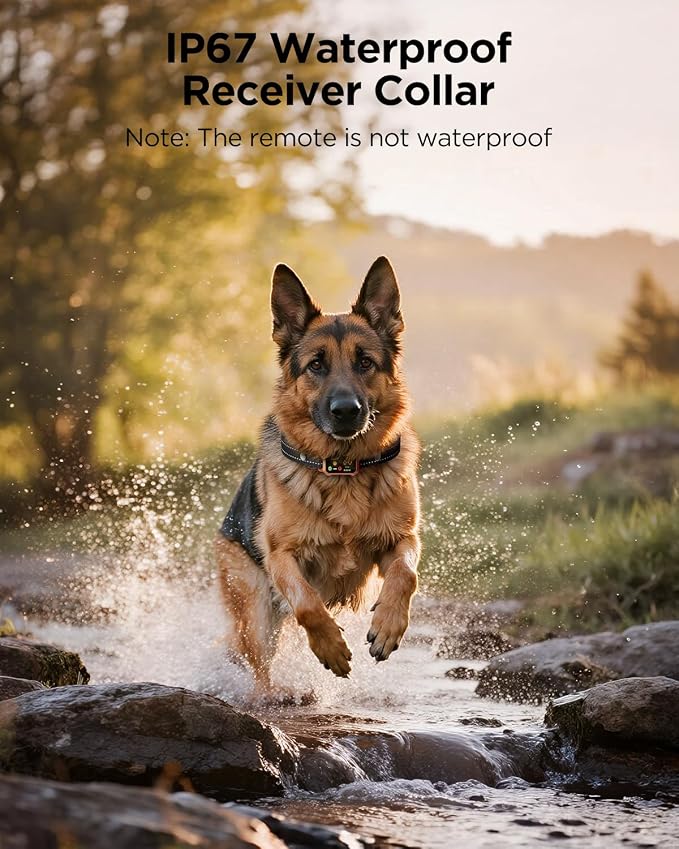 BLACKDOG Military Dog Shock Collar - 4200ft Dog Training Collar with Remote, 4 Training Modes, Flashlight & Strobe, 3-Month Battery, IP67 Waterproof Dog E Collar for All Breeds 5-150lbs (Orange)
