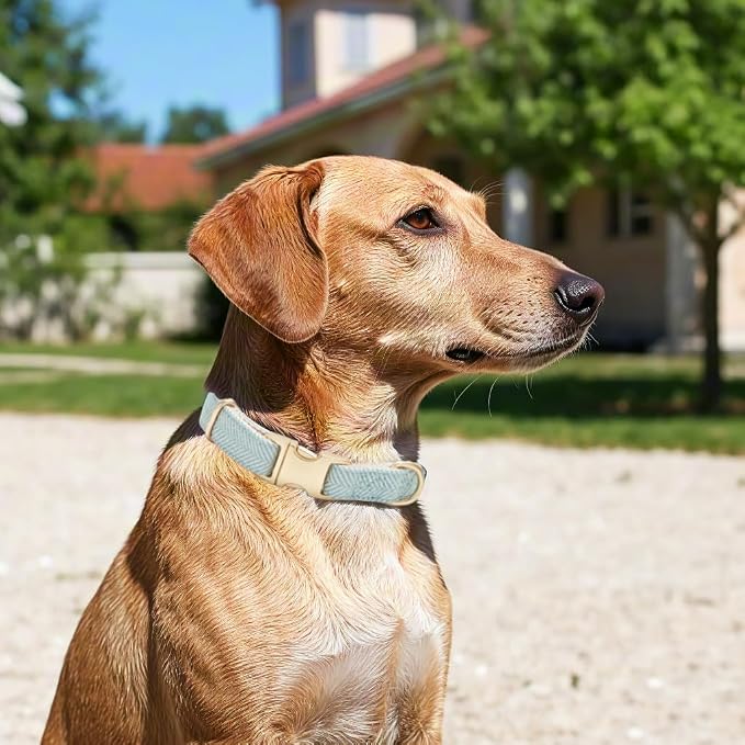 Soft Dog Collar and Leash Set Adjustable Woven Tweed Dog Collars with Metal Buckle and Lead for Small Medium Large Dogs,Blue