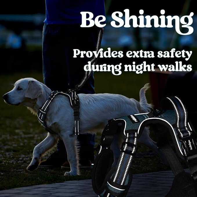 rabbitgoo Dog Harness for Large, No Pull Easy On & Off with 3 Buckles Pet Harness, Adjustable Soft Walking Vest with 2 Clips and Handle, Reflective for Extra Large Dogs,Blue Coral,XL