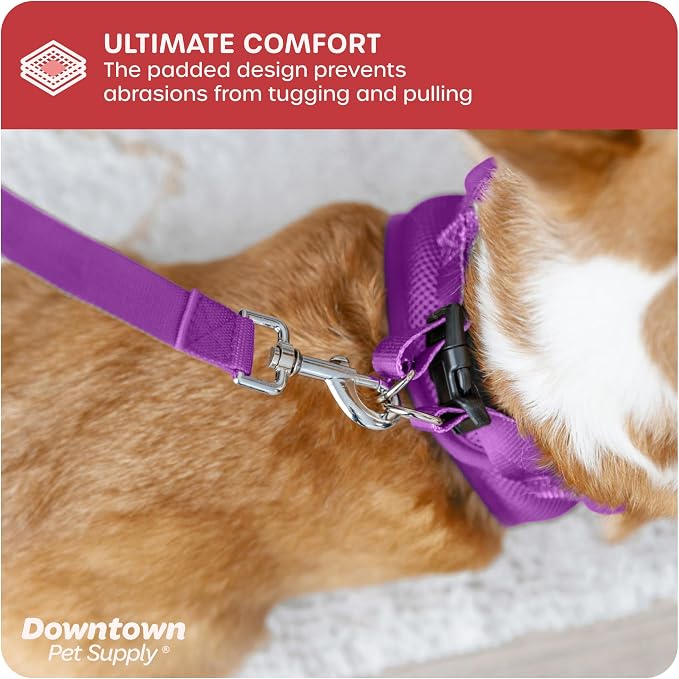 Downtown Pet Supply Step in Dog Harness No Pull, X-Large, Purple - Adjustable Harness with Padded Mesh Fabric and Reflective Trim - Buckle Strap Harness for Dogs