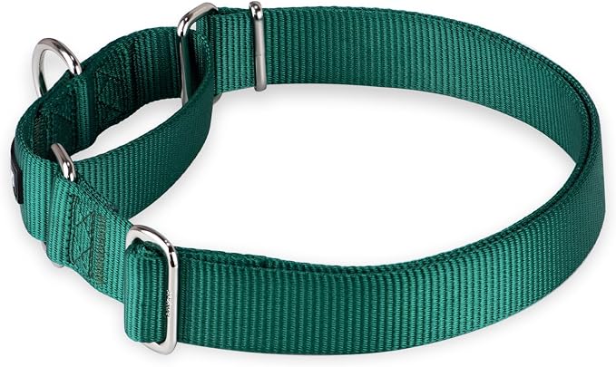 Hyhug Martingale Collar for Dogs Extra Large Green |Escape - Proof Heavy Duty Nylon Durable No Pull, Ideal for Training & Daily Walks