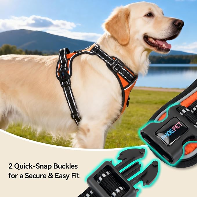 PHOEPET No Pull Dog Harness Medium Reflective Front Clip Puppy Vest with Handle,Adjustable 2 Metal Leash Attachment Hooks(M, Orange)