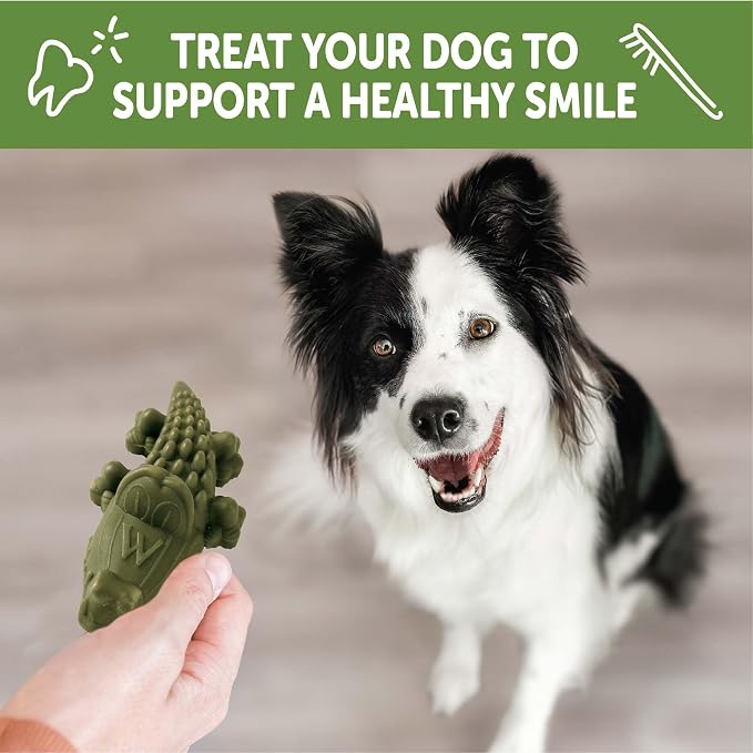 Whimzees Wellness Alligator Natural Dog Dental Treat, Chews, Freshens Breath, Medium Size, 12.7 oz Bag, 12 Count