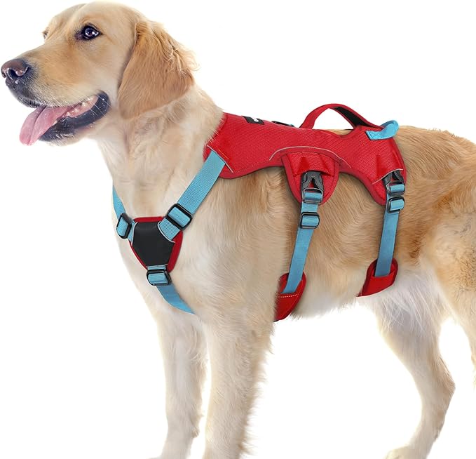 rabbitgoo Escape Proof Dog Harness Large Dogs, Soft Padded Full Body Pet Harness, Reflective Adjustable No Pull Vest with Lift Handle and Leash Clip for Walking Hiking Training, Blue & Red, L