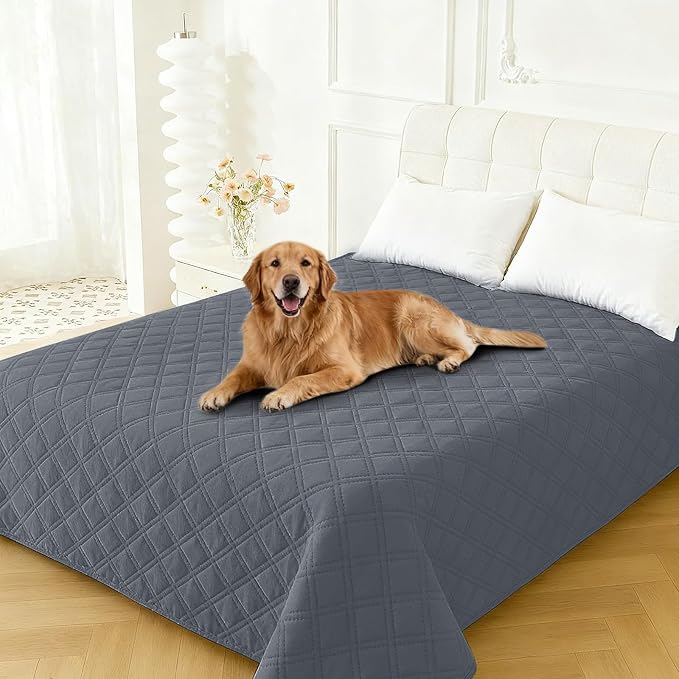 Waterproof Couch Covers for Pets, Waterproof Dog Bed Cover, Anti-Slip Soft Dog Blankets, Couch Cover for Dogs Washable, Pet Blanket for Puppy Large Dogs Cat (68x82 Inch, Dark Grey)