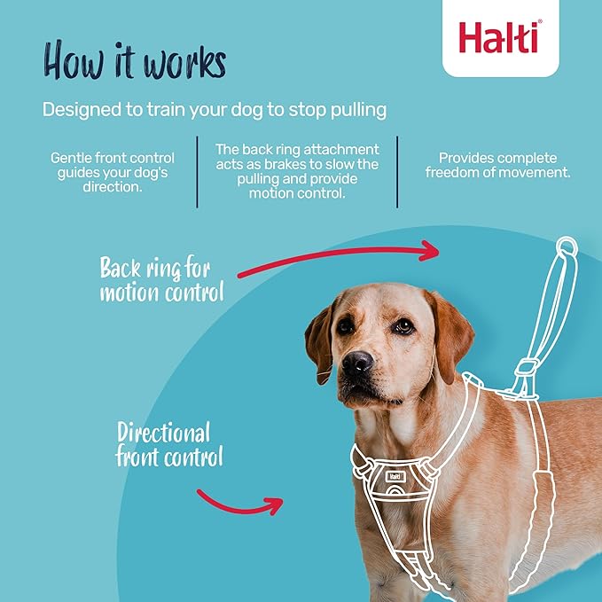 Halti No Pull Harness - Stop Your Dog Pulling on The Leash. Adjustable, Lightweight and Easy to Use. Reflective Dog Training Harness for Large Dogs (Size L, Burnt Orange)