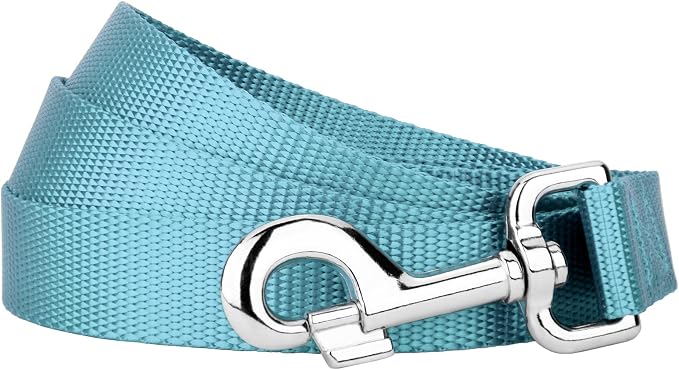 Country Brook Petz - Everyday Nylon Dog Leash - Strong, Durable, Solid Color Leash with Easy to Use Snap - 25+ Colors (1 Inch Wide, 4 Foot, Ocean Blue)