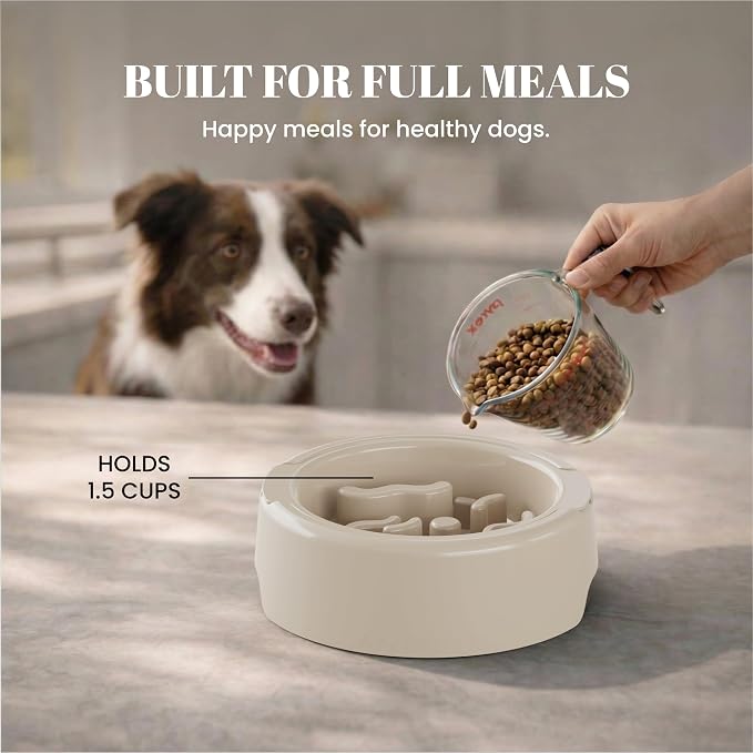 AVERYDAY 3 Pack Slow Feeder Dog Bowl Set, Two Weighted Maze Insert Bowls, Anti-Slip Changeable Puzzle Feeding Bowl for Wet Dry & Raw Dog Food, Slow Eating Deep Pet Food Dish for Medium & Large Breeds