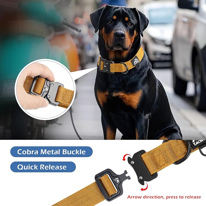 Medium Dog Collar Boy Girl - Adjustable, Chew Proof Nylon Collar with Metal Quick Release Buckle and D-Ring for Dog Tags (Turmeric Yellow, M)