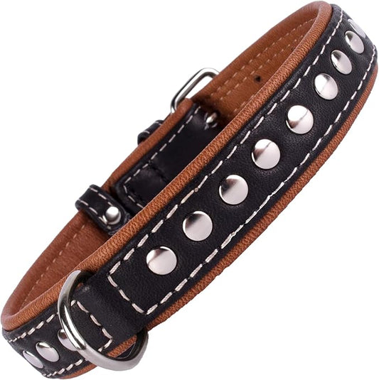 CollarDirect Studded Dog Collar Leather Pet Collars for Dogs Small Medium Large Puppy Soft Padded Brown Black (Black, Neck fit 20" - 22")