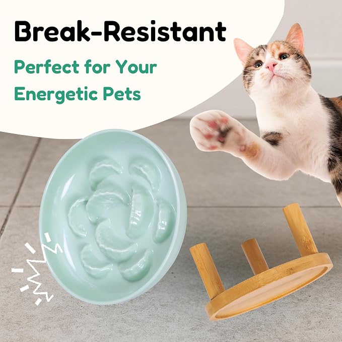 Slow Feeder Bowl, 6.3″ Elevated Cat Bowl with Stand, Melamine Wide Shallow Food Bowl, Whisker-Friendly Raised Plate, Wet Food Feeder for Slow Eating (Green)